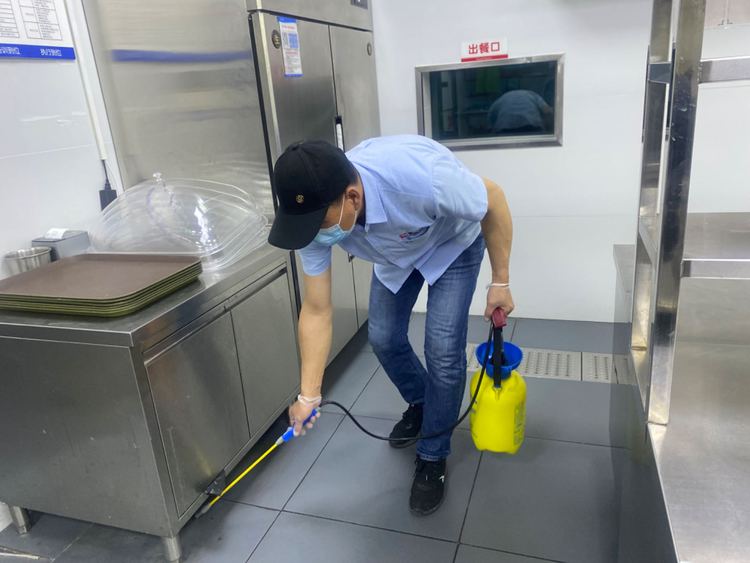 守护舌尖安全 北京餐饮业四害消杀与虫害防治全攻略