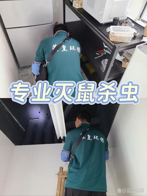 上海专业虫害防治团队闪亮登场，全方位解决您的困扰！