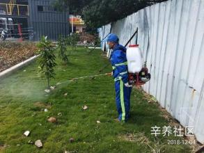 十几年除虫公司,一切虫害消杀,灭四害,除蟑螂,灭鼠,除臭虫蚊蝇