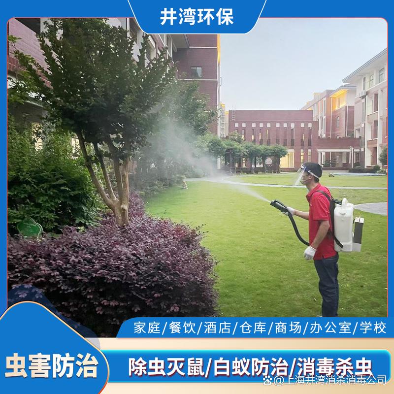 上海闸北区专业除蟑螂虫害消杀指南 指定机构服务全解析