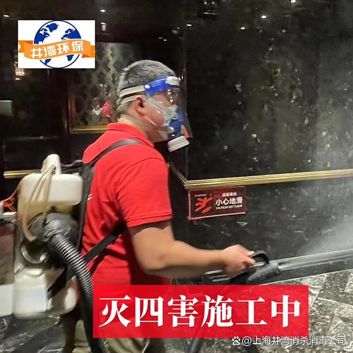专业除虫灭鼠除蟑螂 上海16年虫害防治公司教你科学灭四害